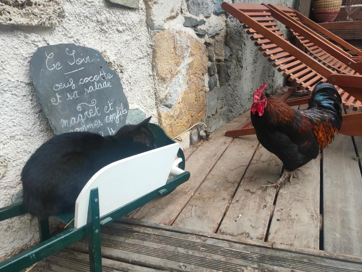 Chambres D'Hotes Les Chatougoulis Les Bordes-sur-Lez Dış mekan fotoğraf